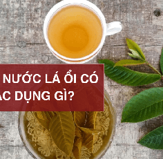 Uống nước lá ổi có tác dụng gì? Hướng dẫn cách nấu đơn giản tại nhà